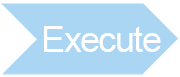 execute1